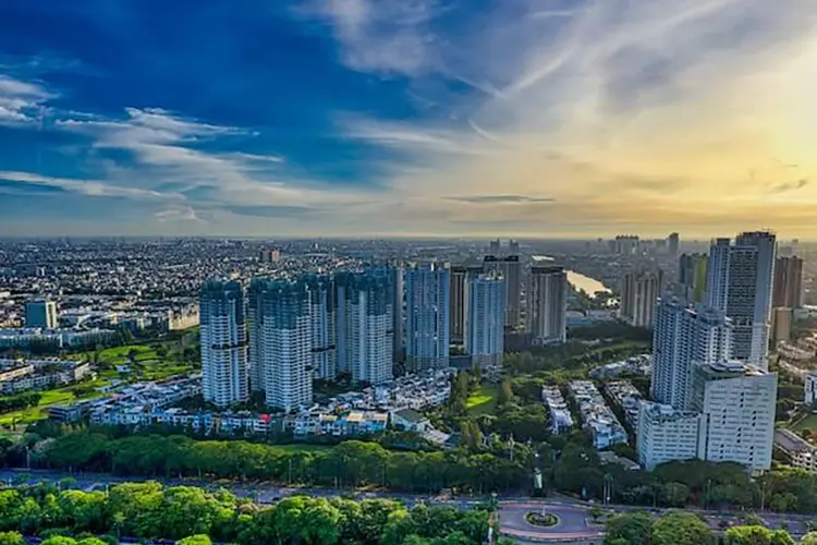 Top view of buildings and trees