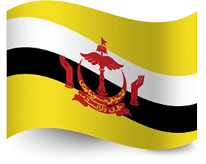 Brunei flag