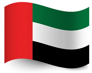 Dubai flag