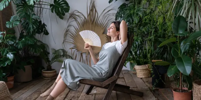 室内植物的好处