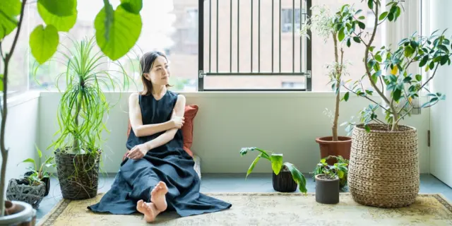 室内植物的好处