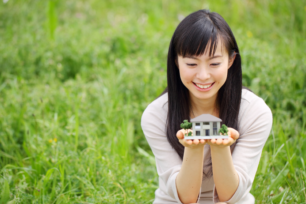 mini house