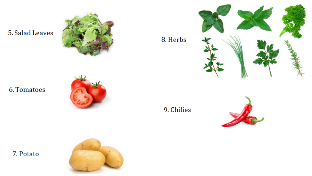 Growing your own food in limited spaces.