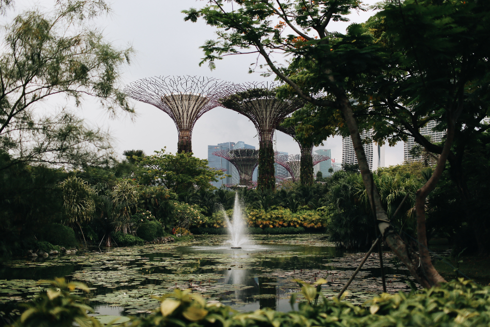 Singapore is a real estate oasis amid COVID-19 and US-China tensions