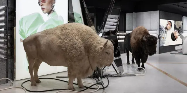 TRX必打卡Gentle Monster