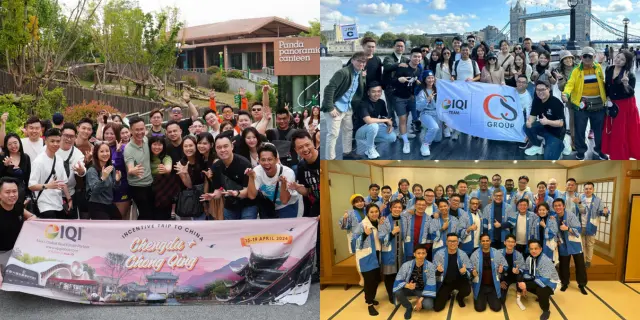 IQI 房地产中介