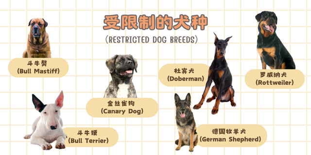 马来西亚受限制的犬种