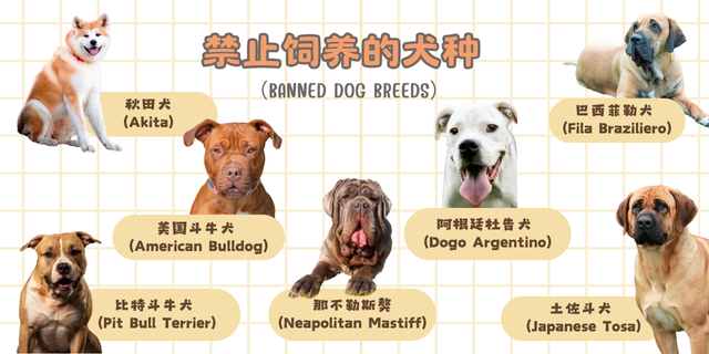 马来西亚禁止饲养的犬种