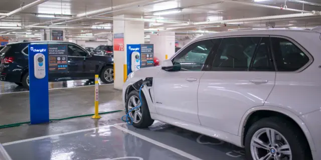 EV Subsidy