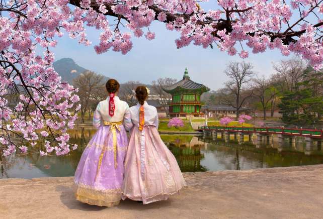 cherry blossom in spring season dressed in hanbok in seoul, South Korea