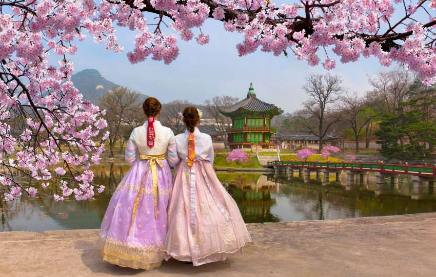cherry blossom in spring season dressed in hanbok in seoul, South Korea