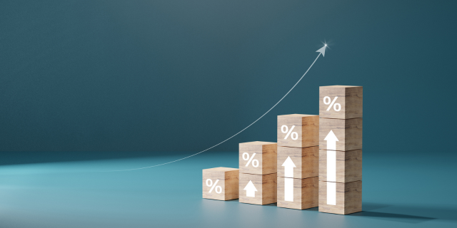 木块上标有巴仙率，显示了增长