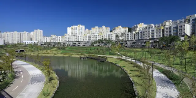 世宗的公寓价格上涨，同时租赁房产也供不应求。