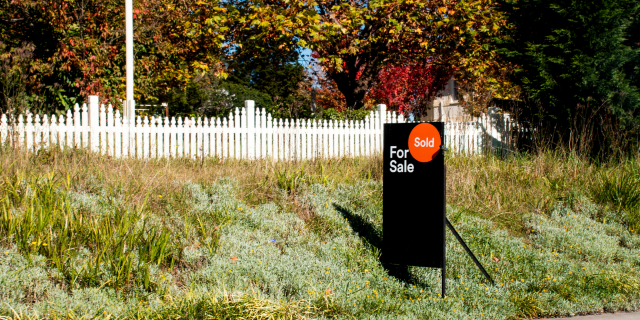 Auction Home vs. Blacklisted: Key Differences to Know 