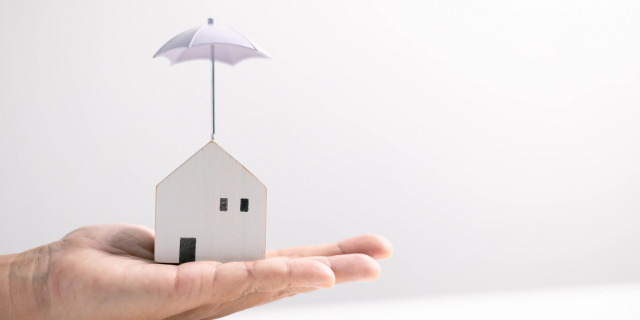 模型房有小扇的保护