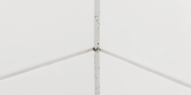 开始发霉的硅胶带