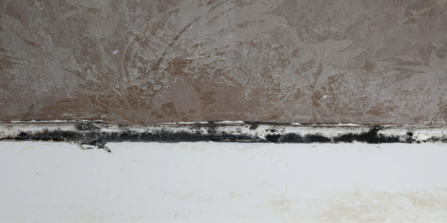 重度发霉的硅胶带