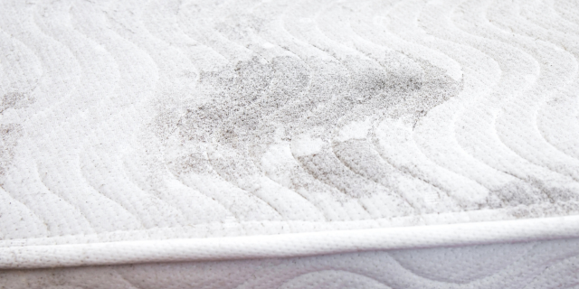 床垫发霉