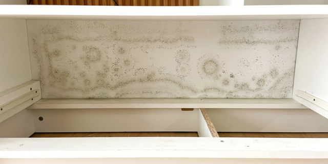 橱柜发霉