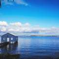 Australia Property Market June 2026: Opportunities Beyond Sydney and Melbourne