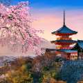 Where to Invest in 2026: Japan, Malaysia and India Lead Fundamentals-Driven Growth